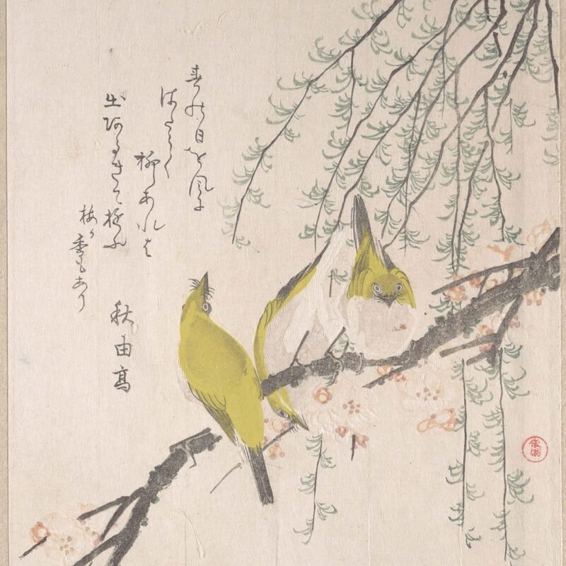 Japanese White-eyes with Plum Tree and Willow, from Spring Rain Surimono Album (Harusame surimono-jō, vol. 3) Kubo Shunman Japanese ca. 1810