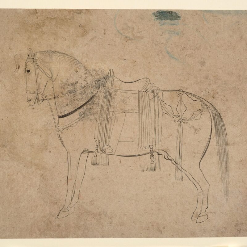 Sketch of a Horse India (Pahari Hills) late 18th century
