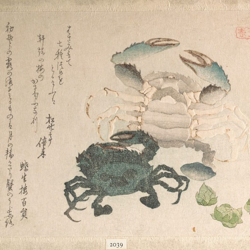 Crabs and Lotus Blossoms Ryūryūkyo Shinsai