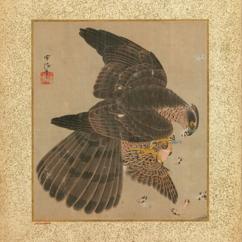 Album of Hawks and Calligraphy Kano Tsunenobu 17th–18th century