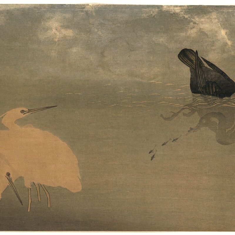 Cormorant and white heron. Creator(s)- Kitagawa, Utamaro, 1753-1806, artist