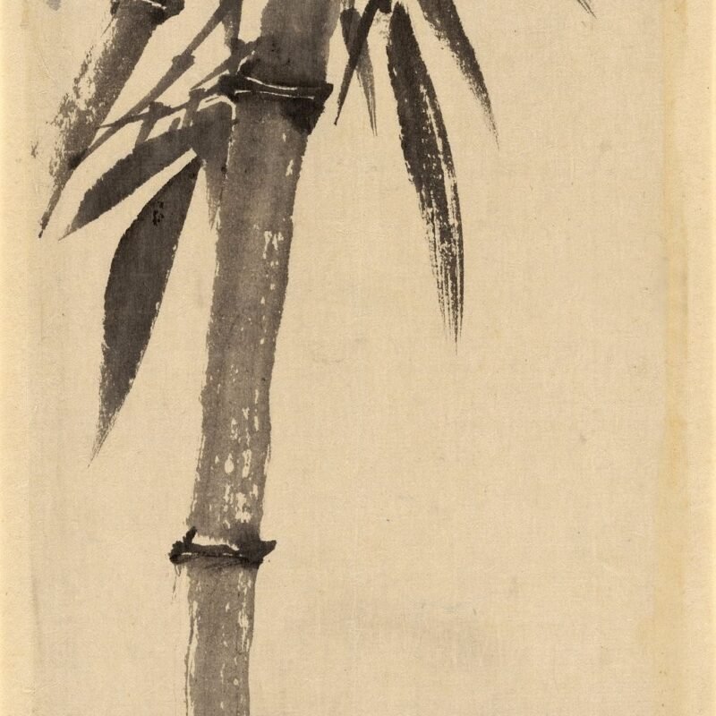 Bamboo Attributed to Katsushika Hokusai 18th–19th century
