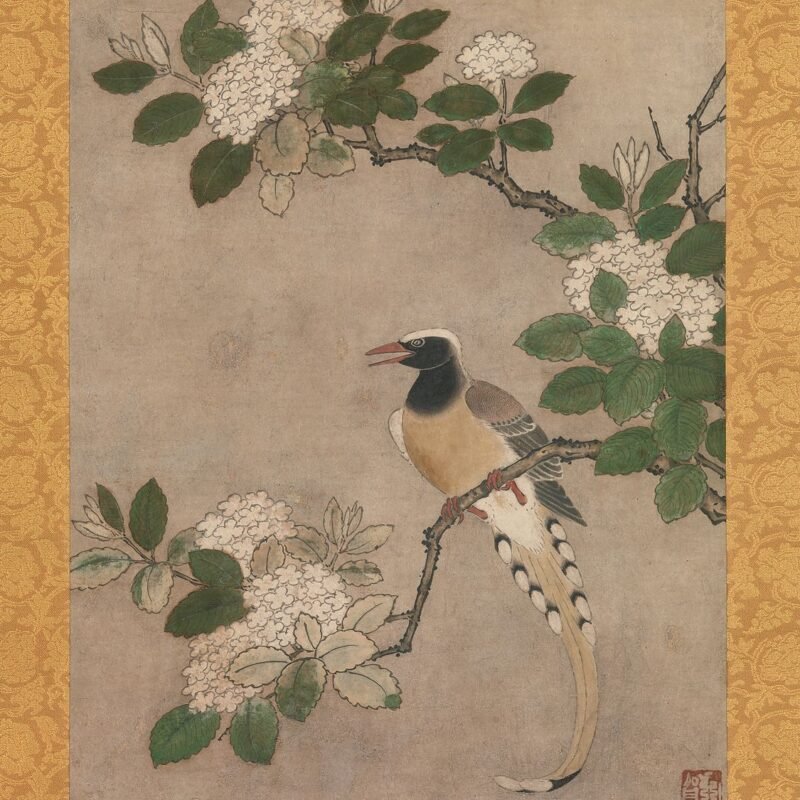 Magpie on Viburnum Branch Genga early 16th century